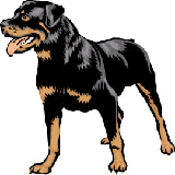 picture of a big dog