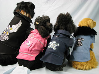 photo of 4 dogs wearing swankyd clothing